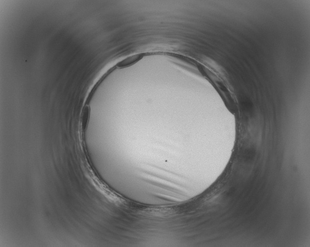 X0000080721340200701121834