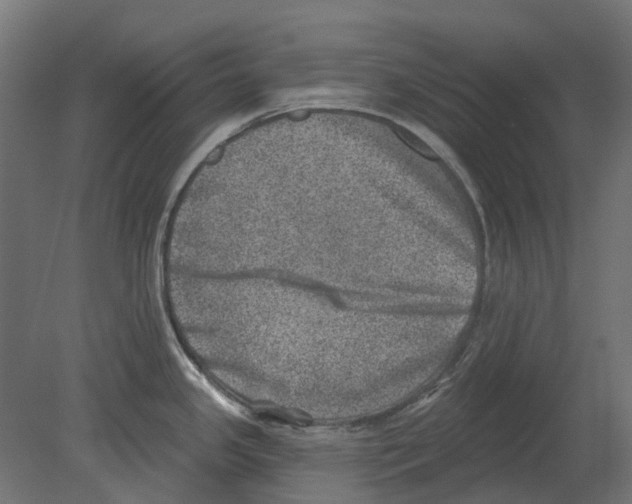 X0000080721341200701121834