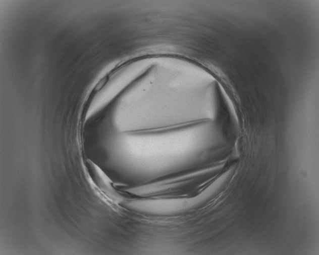 X0000080721342200701121834