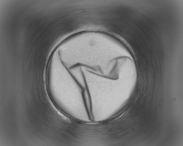 X0000080721343200701121834