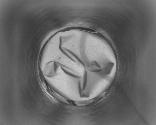 X0000080721344200701121834