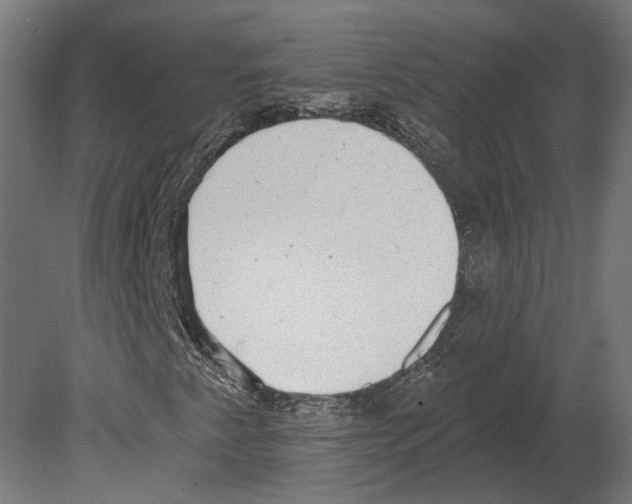 X0000080721345200701121833