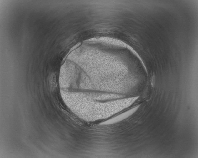 X0000080721347200701121833