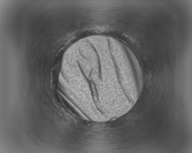 X0000080721349200701121833