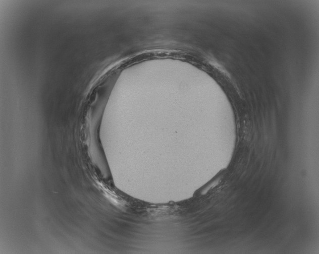 X0000080721352200701121833