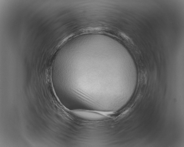 X0000080721353200701121833