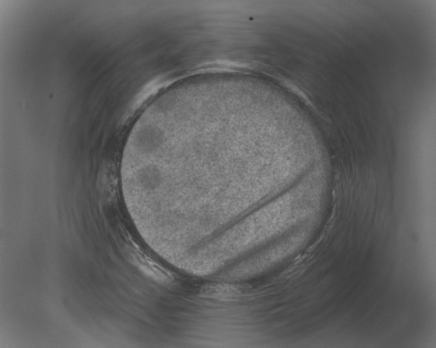 X0000080721355200701121833