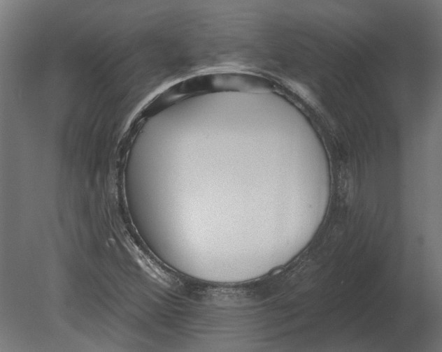 X0000080721356200701121833