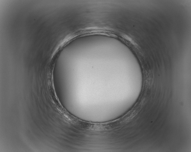 X0000080721357200701121833