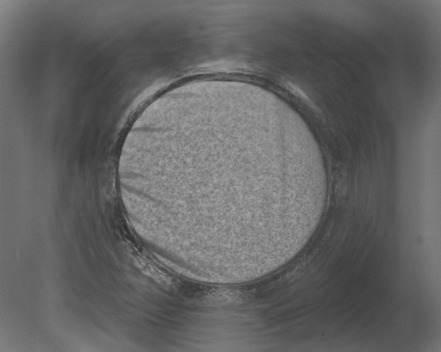 X0000080721358200701121833