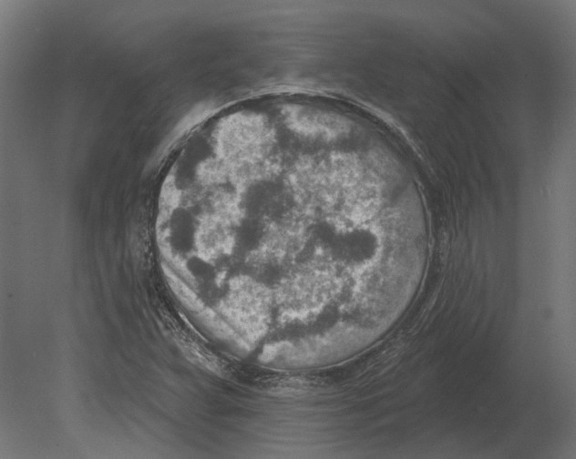 X0000080721359200701121833