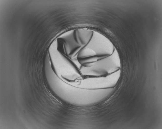 X0000080721361200701121833