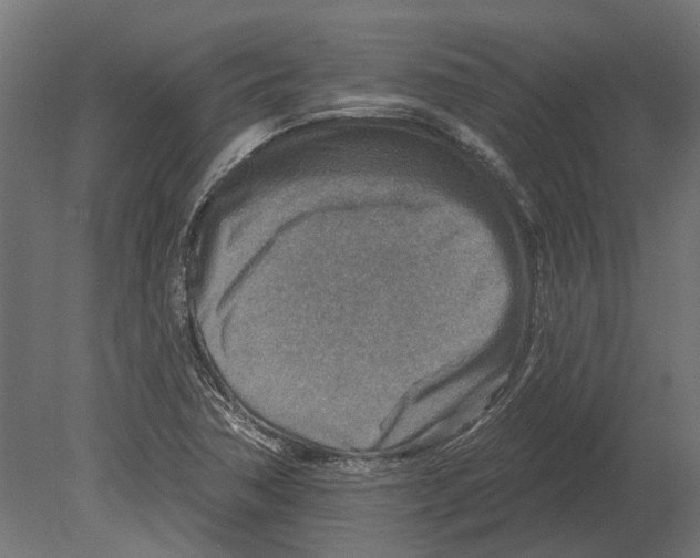 X0000080721362200701121833