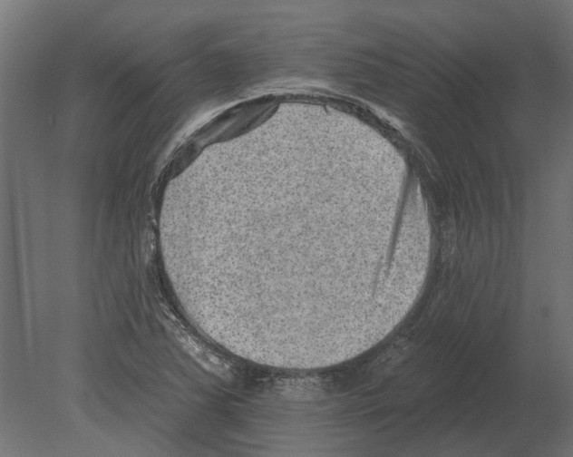 X0000080721363200701121832