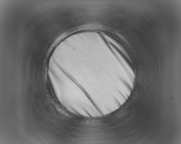 X0000080721366200701121832