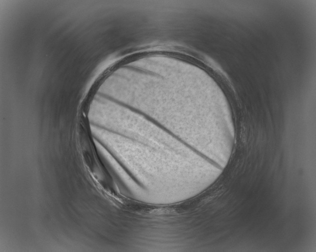 X0000080721368200701121832