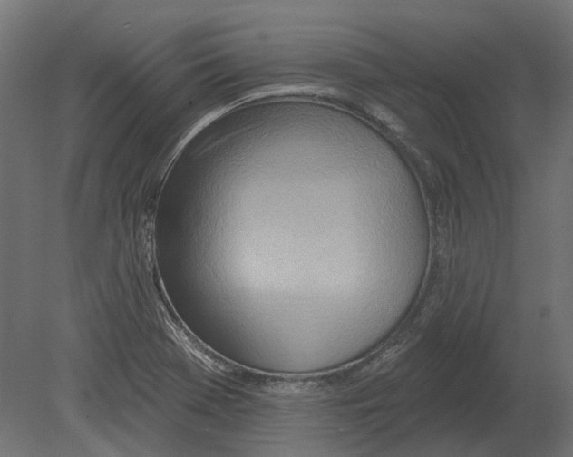 X0000080721369200701121832