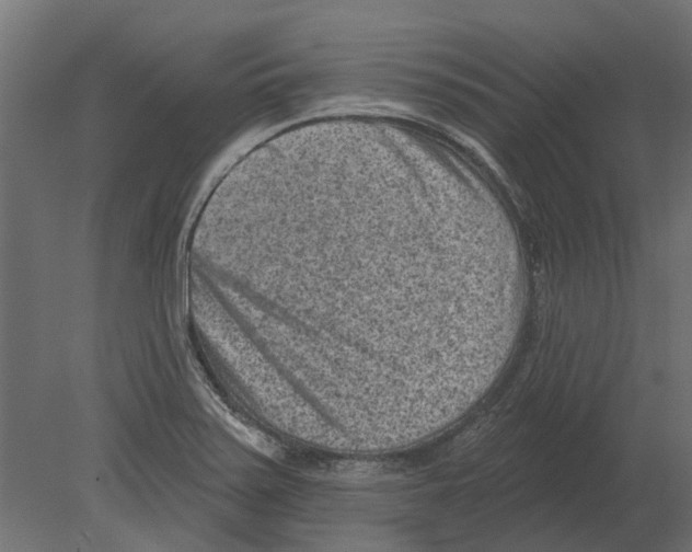 X0000080721371200701121832