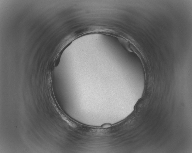 X0000080721377200701121832