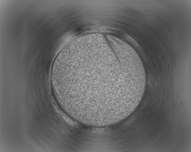 X0000080721378200701121832