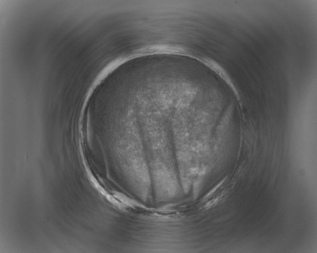 X0000080721381200701121832