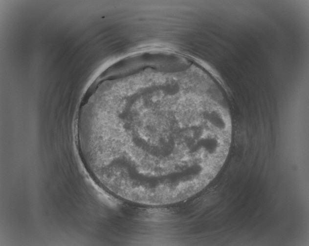 X0000080721383200701121832