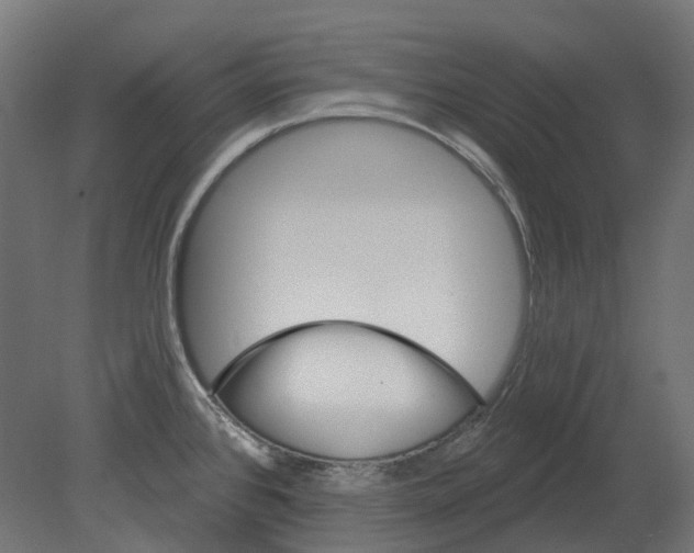 X0000080721384200701121832