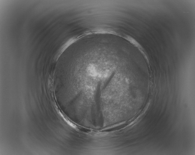 X0000080721385200701121832