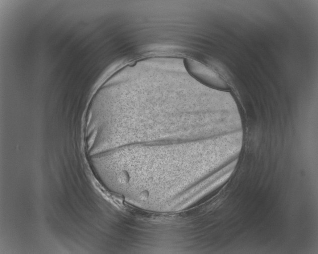 X0000080721386200701121832