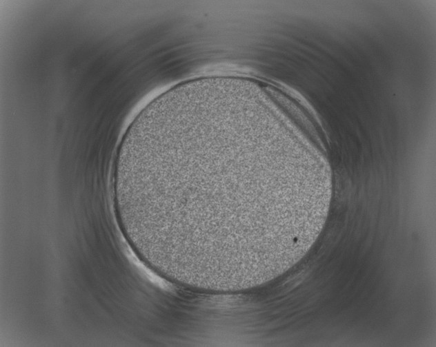 X0000080721387200701121832