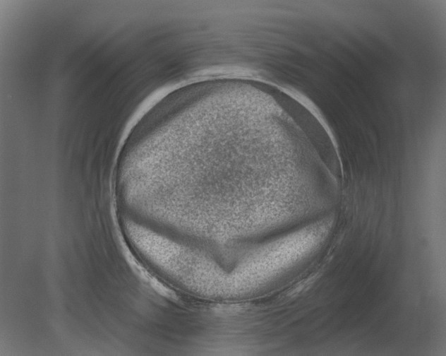 X0000080721389200701121832