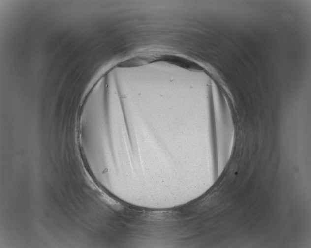 X0000080721390200701121832