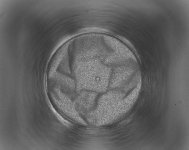 X0000080721391200701121832