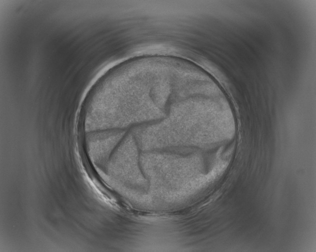 X0000080721392200701121832