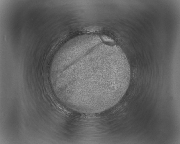 X0000080721393200701121831