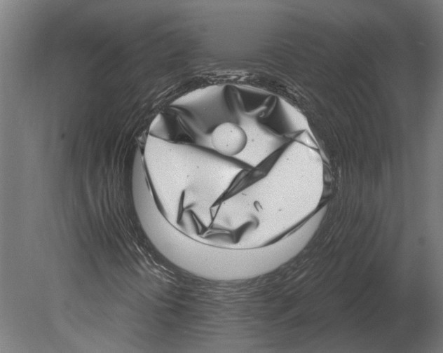 X0000080721394200701121831