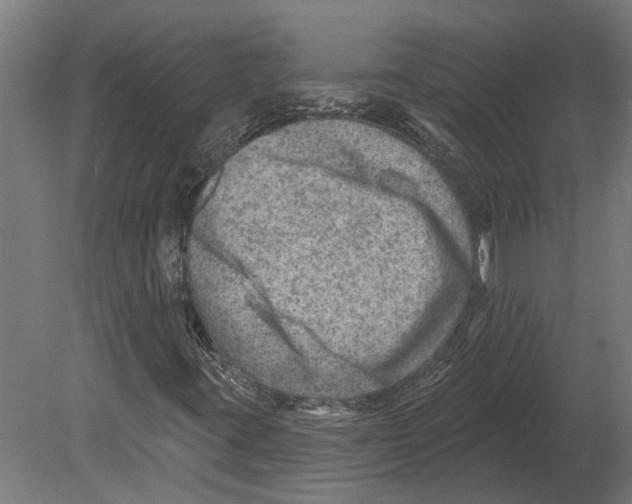 X0000080721395200701121831