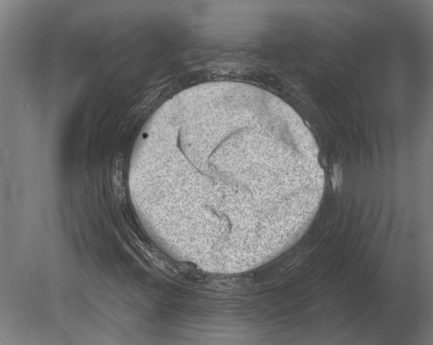 X0000080721396200701121831