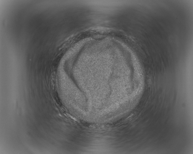 X0000080721397200701121831