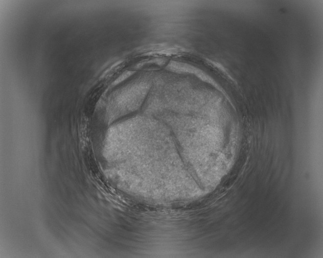 X0000080721399200701121831