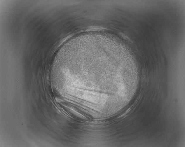 X0000080721401200701121831