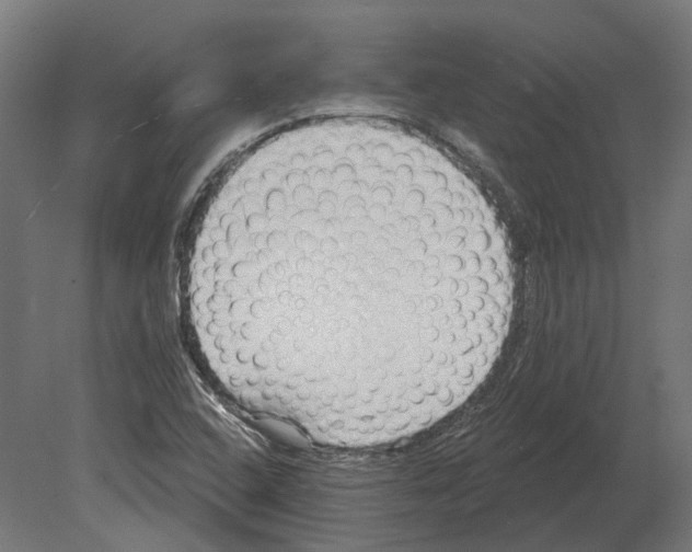 X0000080721408200701121831