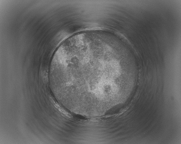 X0000080721409200701121831