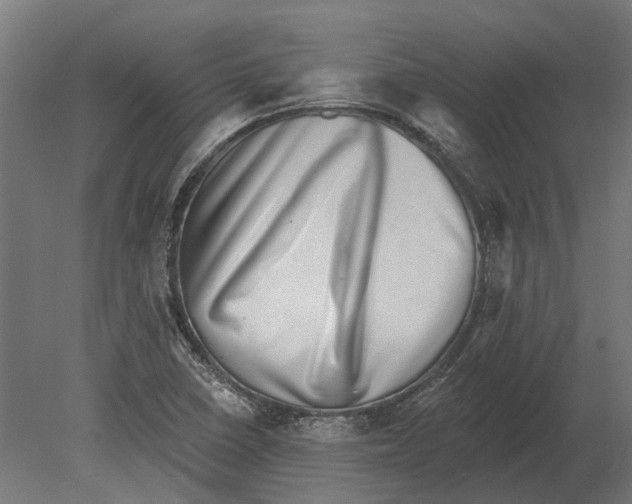 X0000080721410200701121831