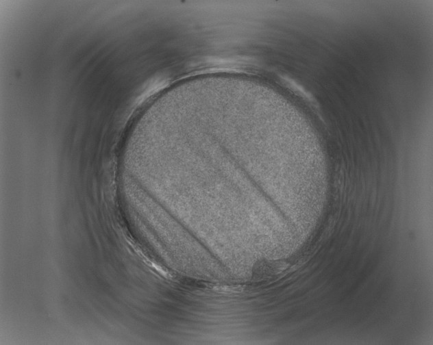 X0000080721411200701121831