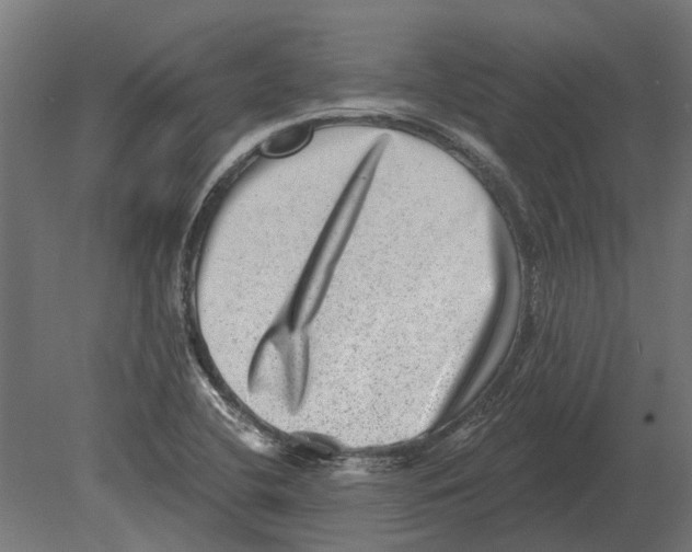 X0000080721412200701121832