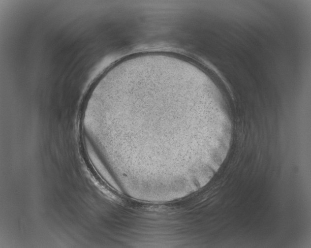 X0000080721416200701121832