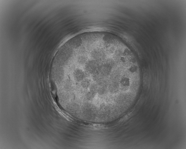 X0000080721417200701121832