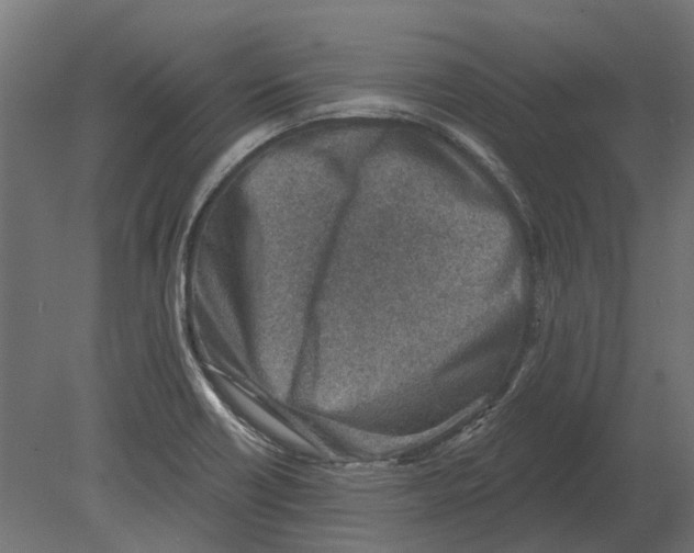 X0000080721418200701121832