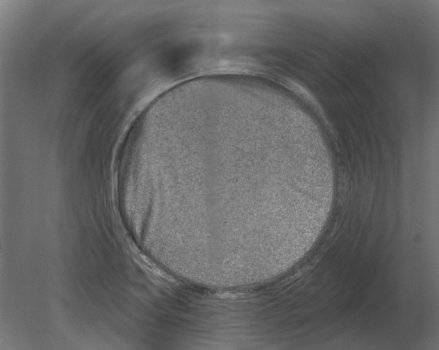 X0000080721419200701121832